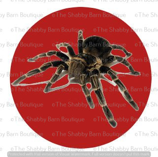 Creepy Crawly Tarantula