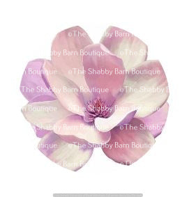 Magnolia