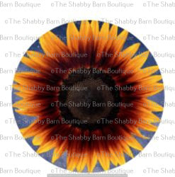 Orange Sunflower
