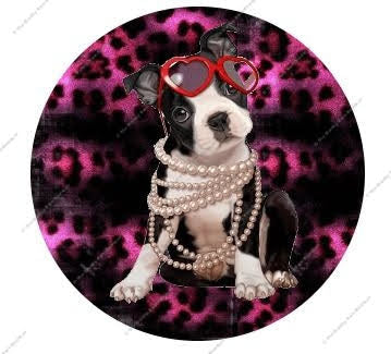 Pitbull Diva