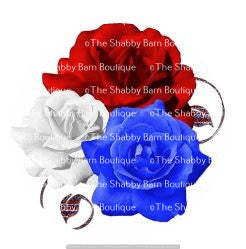 Red White Blue Roses