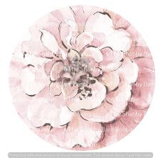 Soft Pink Flower