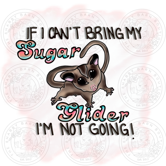 Sugar Glider