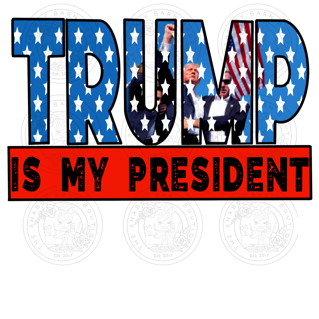 Trump is my President