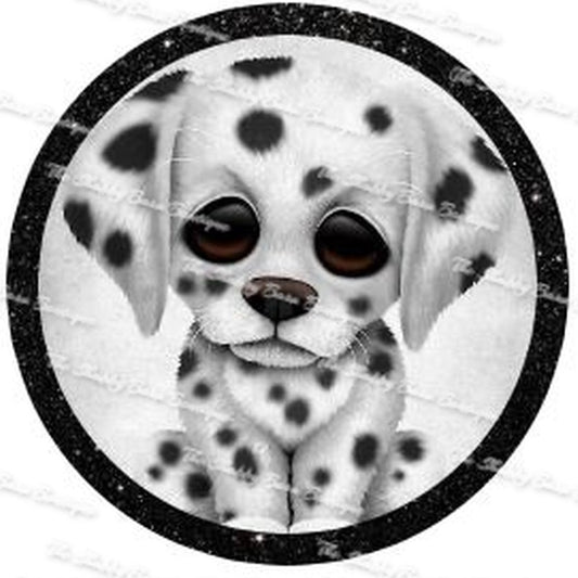 Dalmation