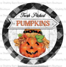 Fresh Picked Pumpkins