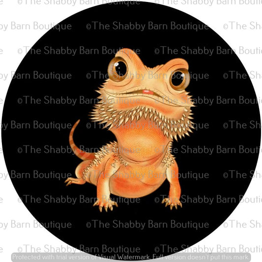 Perked Up Bearded Dragon