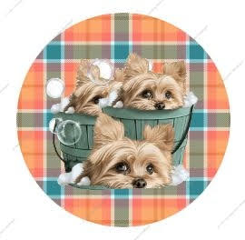 Yorkie Bath