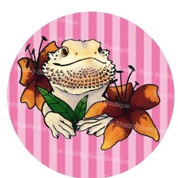 Pink Striped Bearded Dragon