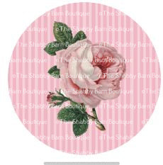 Pink Vintage Rose