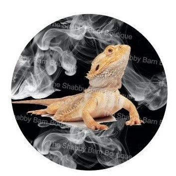 Smokey Bearded Dragon