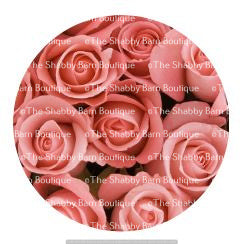 Soft Pink Roses