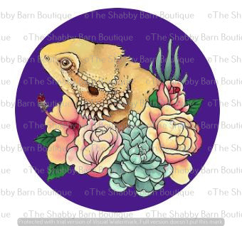 Succulents Around Bearded Dragon