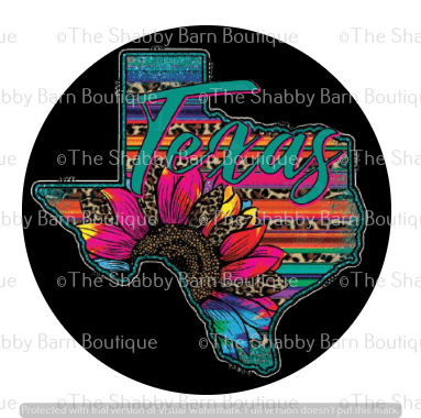 Texas Serape and Leopard Sunflower